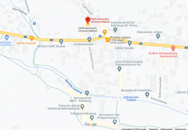 Google Maps_Bild_Standort